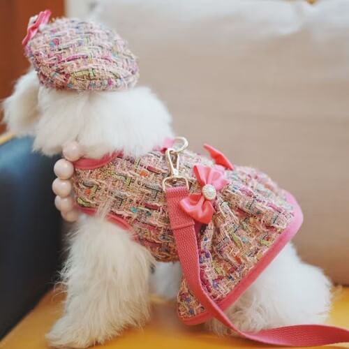 Pet Clothes